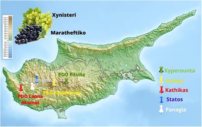 Metataxonomic Analysis of Grape Microbiota During Wine Fermentation Reveals the Distinction of Cyprus Regional terroirs